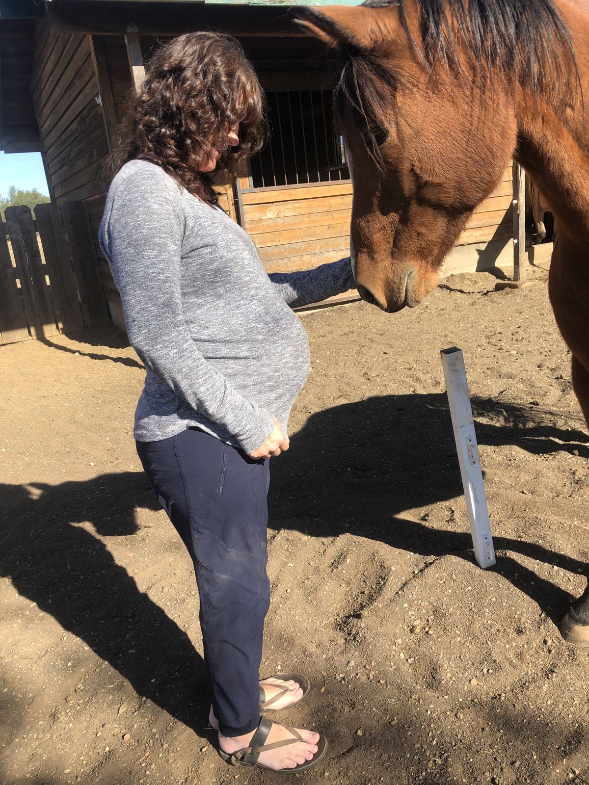 A chestnut horse lowers its head toward Sarah's pregnant belly