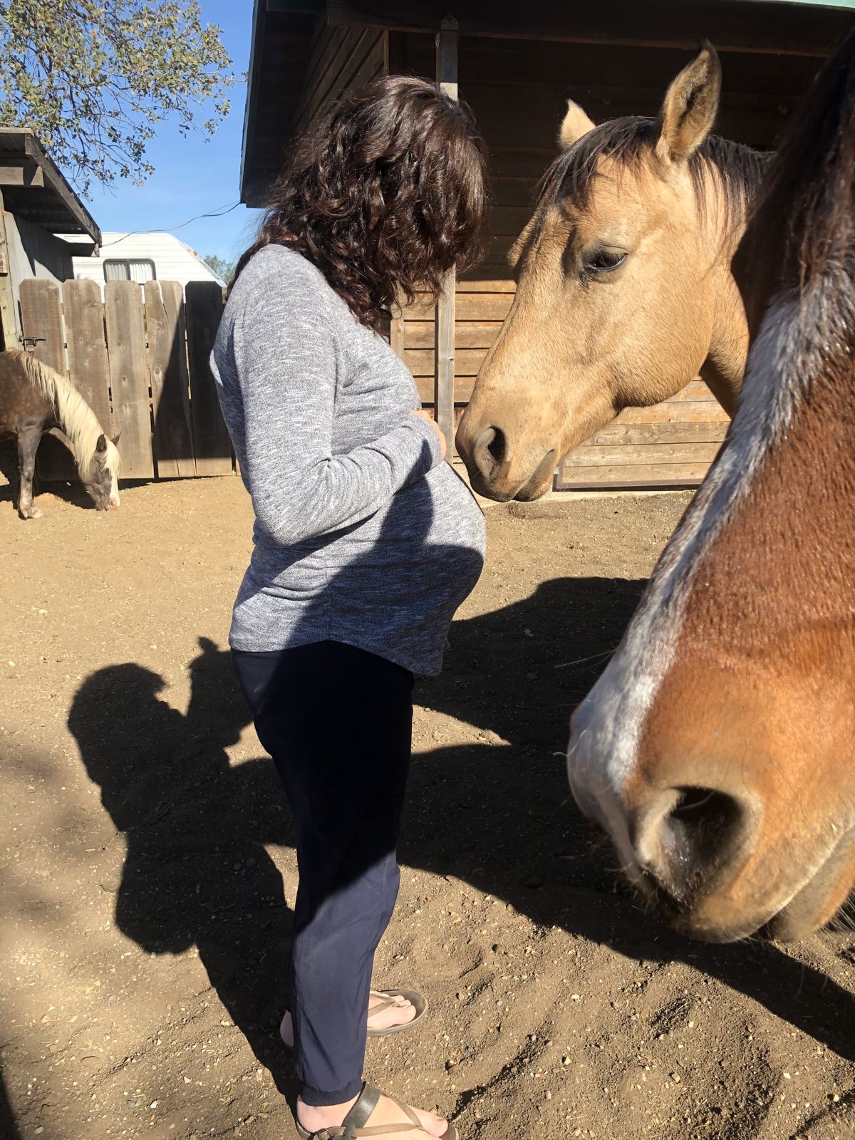A buckskin horse and a chestnut horse gather close to pregnant Sarah